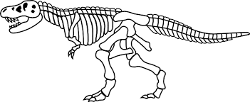 1024 x 730 jpg pixel. Gratis Dinosaur Skeleton Cliparts Download Gratis Illustraties Gratis Illustraties Andere