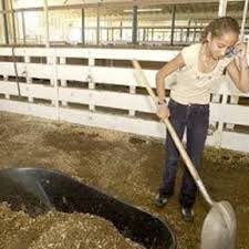 All-time high attendance at fair