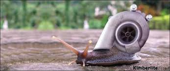 Looking for the best snail wallpaper? 12 Turbo Snails Ideas Turbo Snail Snail Tattoo