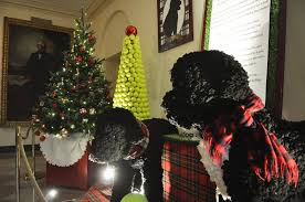 This one is easier because a tree does not move. Military Families Get Sneak Peek At White House Holiday Decorations U S Stripes