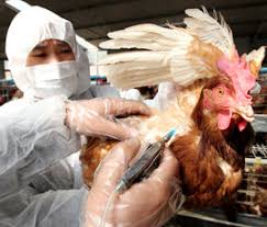 Check spelling or type a new query. National Animal Disease Detection System Tightened Farmers Weekly