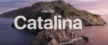 Macos Catalina Direct Download From Apple Server