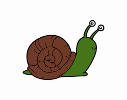 Aprende con este dibujo de caracol paso a paso Dibujo De Un Caracol Pintado Por En Dibujos Net El Dia 10 11 20 A Las 03 13 25 Imprime Pinta O Colorea Tus Propios Dibujos