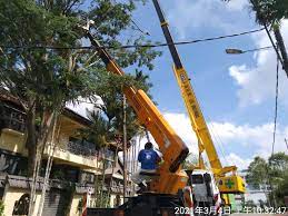 Pagi buat aduan, pagi tu jugak selesai. Pin On Tree Cutting Services 016 8997985 Johor Bahru