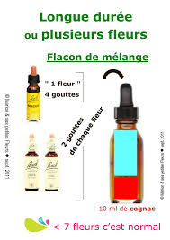 Fleurs De Bach Comment Fabriquer Un Flacon De Melange Personnalise Marion Fleurs Flacons Fleurs De Bach Phytotherapie