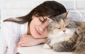 To make sure that your furniture will be free of cat hair for years to come and that your cat won't start. Excessive Hair Shedding In Cats