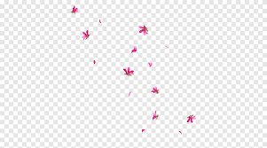 Check spelling or type a new query. Flower Paper Drawing Falling Petals Triangle Symmetry Png Pngegg