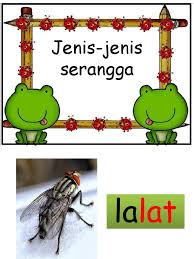 4 kayu sebagian penyanggah ukuran ± 2 m 3. Ppt Serangga