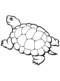 Walking Tortoise Coloring Page Music Coloring Music Coloring Sheets Turtle Coloring Pages