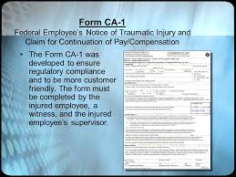 Explanation of Form CA-1 You must click your mouse, press Enter, or ...