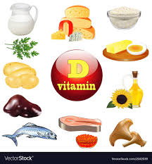 Vitamin D And Plant Vector Image On Vectorstock Vitamin D Foods Vitamin D Vitamins
