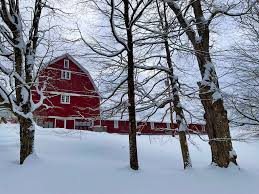 1959 Janice Germond Lages and Doreen Germond O'mara ! No other onfo