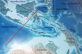 Image result for geography