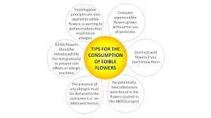 Causes of food allergy peanuts, tree nuts, eggs, milk, wheat, sesame, fish, shellfish and soy cause about 90 per cent of food allergic reactions. Sustainability Free Full Text A Snapshot On Food Allergies A Case Study On Edible Flowers Html