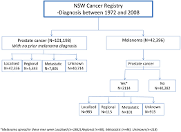 The pancreas is an organ that releases enzymes involved with digestion, and hormones to regular blood sugar levels. An Initial Melanoma Diagnosis May Increase The Subsequent Risk Of Prostate Cancer Results From The New South Wales Cancer Registry Scientific Reports