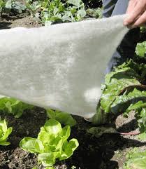 Langzeitdüngung, speichert feuchtigkeit, frostschutz für das integrierte saatgut, unkrautunterdrückend, vollständig biologisch abbaubar, schutz gegen vogelfraß. Frostschutzvlies Aus Schafwolle 1a Qualitat Baldur Garten
