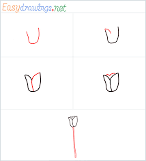 This assortment has every type of tulip picture you would want. How To Draw A Tulip Flower Step By Step 7 Easy Phase