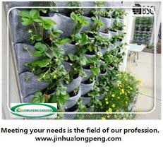 Choose from contactless same day delivery, drive up and more. Wall Hanging Flower Pots Outdoor Wall Planters Flora Felt Living Wall Planter Vertical Garden Buy Wall Hanging Flower Pots Felt Garden Gnome Flower Pots Wall Hanging Wall Planter Product On Alibaba Com