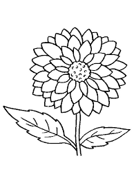 Feel free to print out as many copies as you d like. Printable Dahlia Flower Coloring Pages Novocom Top