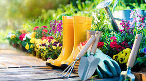 I pay £12.50 per hour for mine and he is one of the cheaper ones. How Much Does It Cost To Hire A Gardener Service Com Au