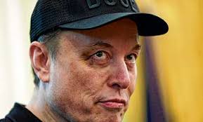 Inside the Complicated Ties Between Trump and Musk