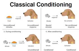 Week 2 Online Lecture Flashcards Quizlet