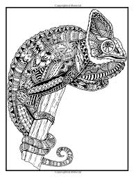Pin On Animal Coloring Pages
