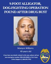 Jacksonville Sheriff's...