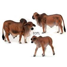 Your brahman bull stock images are ready. New Collecta 88599 88600 88601 Red Brahman Cattle Bull Cow Calf Set Group Of 3 Ebay