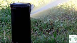 Too much thatch traps moisture and blocks sunlight and airflow, so if your thatch. Summer Lawn Tips With Allyn Hane Milorganite