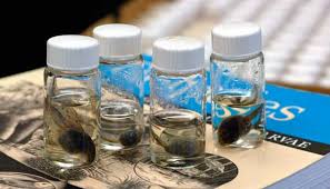 Image result for Zoology admission