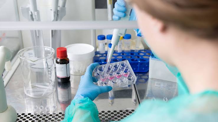 IBS Isn't Just 'Stress': FODMAP, Gut Tests, and the New Drugs
