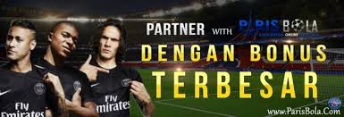 Image result for parisbola png