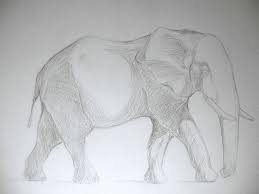 9152018 how to draw a realistic elephant by colour pencil step by step elephant drawing pencils art. How To Easily Draw A Realistic Elephant Elephant World