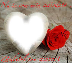 Traducere nu voi uita niciodata în engleză. Photo Montage Sole Lover Pixiz