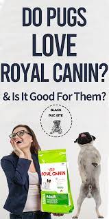 Royal Canin Pug Puppy Food Review Puppy Food Reviews Pugs Puppies
