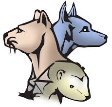 Gpr, focuses on not only placing gainesville pet rescue is a not for profit organization that strives to match pets and people for a lifetime. Gainesville Pet Finder Home Facebook