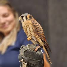 Melanie Hardy Mcvey (@melaniehardymcvey) • Instagram photos and videos