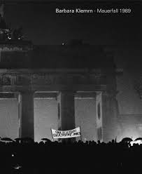 Image result for mauerfall