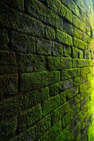 1000 Amazing Blurred Background Photos Pexels Free Stock Photos Use picsart's background changer to change backgrounds of your photo instantly. 1000 amazing blurred background photos