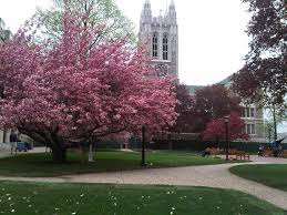 Heights Of Spring College Campus Spring Her Campus