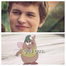 The Fault In Our Stars Memes Tfios Funny Pictures Fan Art The Fault In Our Stars Funny Pictures Tfios