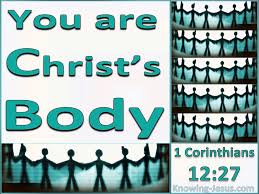13 some of us are jews, some are gentiles,* some are slaves, and some are free. 1 Corinthians 12 Inspirational Images