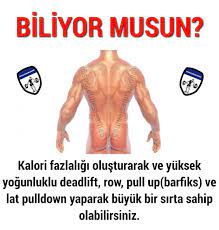 sirt ve kanat kasi nasil gelisir vucut gelistirme fitness egzersizleri fitness