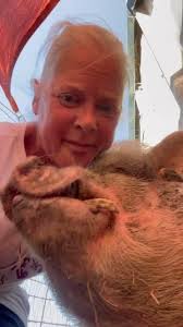 Tanya Griffin PiggySue Rescue 🐽 (@piggysuerescue) • Instagram photos and  videos