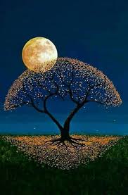 Awaiting was one of the four short films comprising beautiful 2014, an omnibus project that premiered at the 38th hong kong international film festival. Beautiful Moon Profile Picture Novocom Top