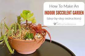 Since beauty is subjective, the only rule on this sub is that there needs to be at least 1 plant it looks adorable and that pot is lovely. How To Make An Indoor Succulent Garden Get Busy Gardening