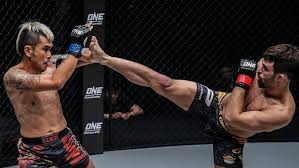 The event, from kallang, singapore, was previously taped and broadcast via tape delay. Professional Fighters League Roscoff Campsites Co Uk