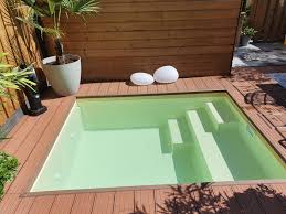 Plunge Pool Of Mini Zwembad Compleet Met Apparatuur In 2020 Garten Pool Selber Bauen Pool Im Garten Wasser Im Garten