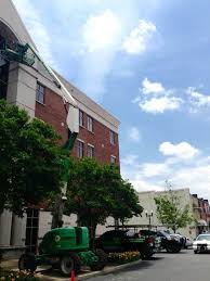 Clean up of bird poop, clean up of bird droppings, bird control, deterrents, bird spike, bird netting, bird nest removal, pigeon removal, bird barriers, humane pigeon removal pigeon, bird nest made by swallows Nashville Bird Removal Control Services Animal Pros